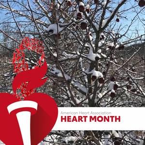 Meet your Posher, Liz